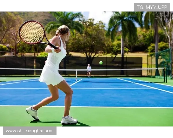 网球运动的魅力与挑战：技术、策略与心理的完美结合