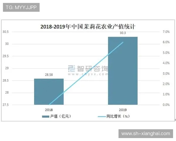 足球俱乐部发展战略探讨与未来竞争力提升路径分析