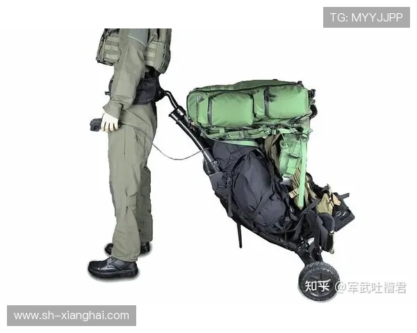 南京滑板队战术深度解析与其他队伍的对比研究