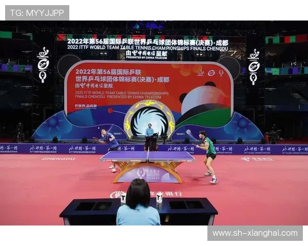 成都乒乓球队实力强劲最新配合TOP10引领乒坛风潮