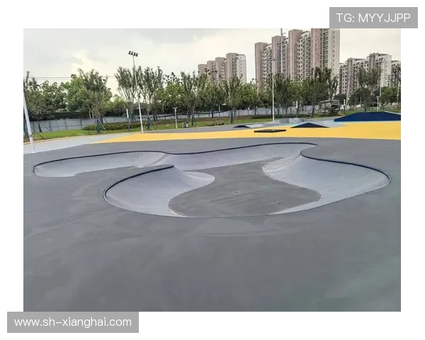 滑板战术与团队协作：探秘广州滑板队的运营模式与发展策略