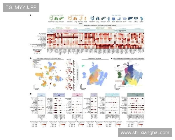 重庆极限运动队速度表现数据分析揭示运动员潜力与训练效果的深度关系