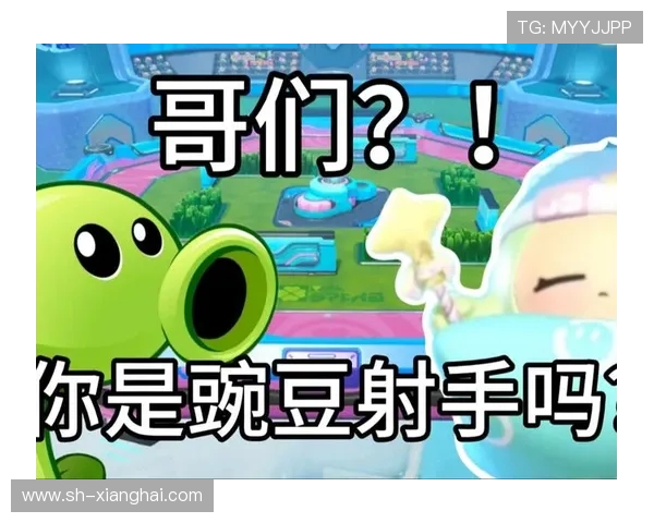 以Ruler射手为核心解析其竞技风格与赛场统治力全面剖析